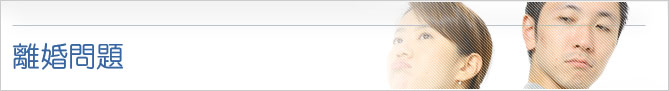 取扱業務 [離婚問題]